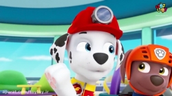 انیمیشن پاوپاترول قسمت پنجم از فصل دوم PawPatrol S02E05